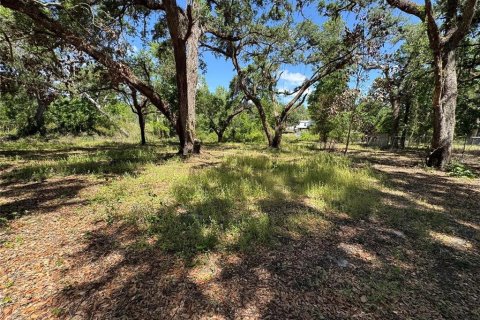 Terreno en venta en Dade City, Florida № 2102408 - foto 7