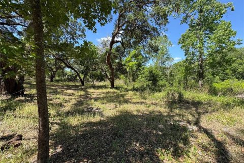 Terreno en venta en Dade City, Florida № 2102408 - foto 6