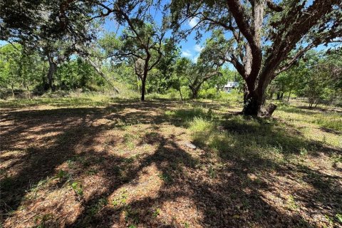 Terreno en venta en Dade City, Florida № 2102408 - foto 5