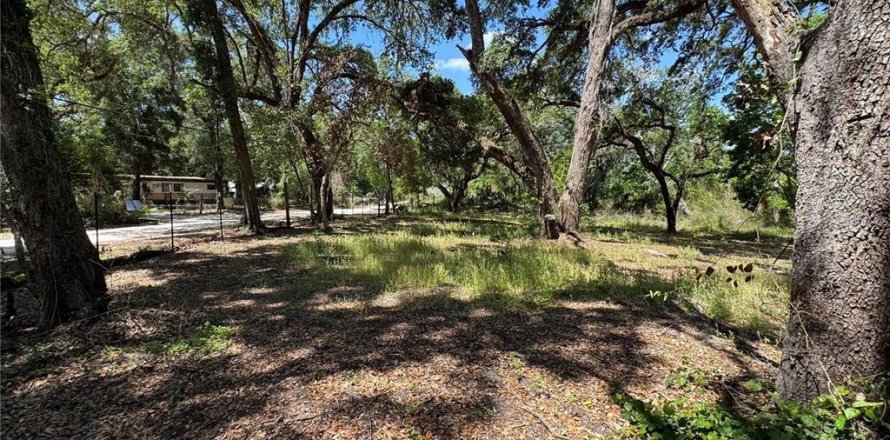 Terreno en Dade City, Florida № 2102408