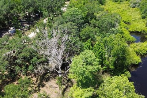 Terreno en venta en Dade City, Florida № 2102408 - foto 9