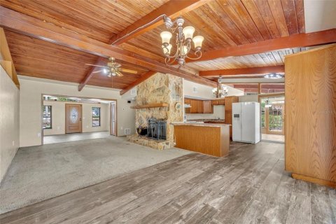 Villa ou maison à vendre à Ocklawaha, Floride: 4 chambres, 204.01 m2 № 2150220 - photo 14