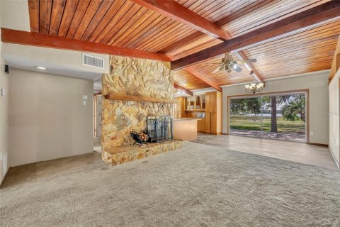 Villa ou maison à vendre à Ocklawaha, Floride: 4 chambres, 204.01 m2 № 2150220 - photo 11