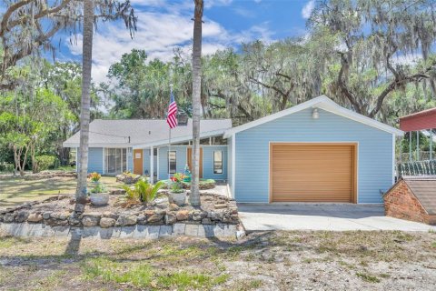 Villa ou maison à vendre à Ocklawaha, Floride: 4 chambres, 204.01 m2 № 2150220 - photo 2