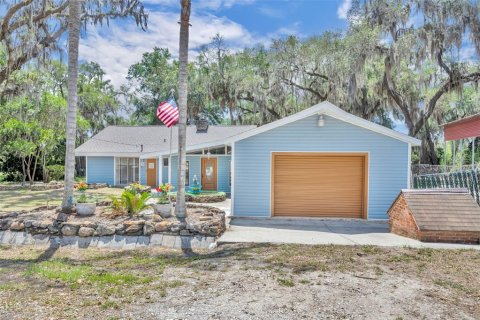 Villa ou maison à vendre à Ocklawaha, Floride: 4 chambres, 204.01 m2 № 2150220 - photo 6