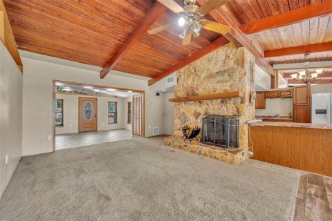 Villa ou maison à vendre à Ocklawaha, Floride: 4 chambres, 204.01 m2 № 2150220 - photo 13