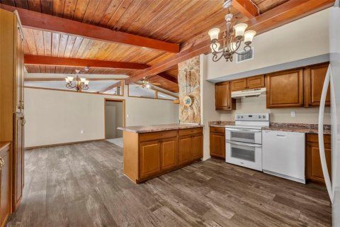 Villa ou maison à vendre à Ocklawaha, Floride: 4 chambres, 204.01 m2 № 2150220 - photo 19