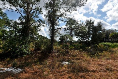 Land in North Port, Florida № 2164894 - photo 2