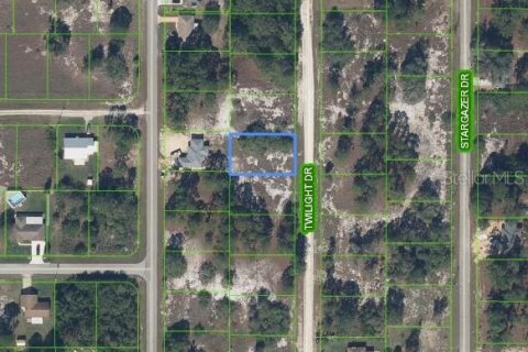 Land in Lake Placid, Florida № 2158797 - photo 2