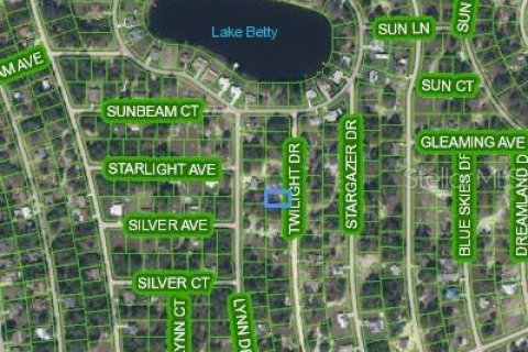 Land in Lake Placid, Florida № 2158797 - photo 3