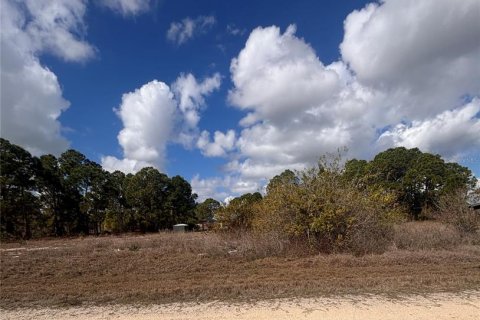 Land in Lake Placid, Florida № 2158797 - photo 5
