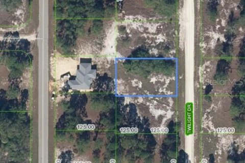 Land in Lake Placid, Florida № 2158797
