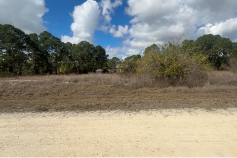 Land in Lake Placid, Florida № 2158797 - photo 4