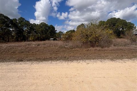 Land in Lake Placid, Florida № 2158797 - photo 6