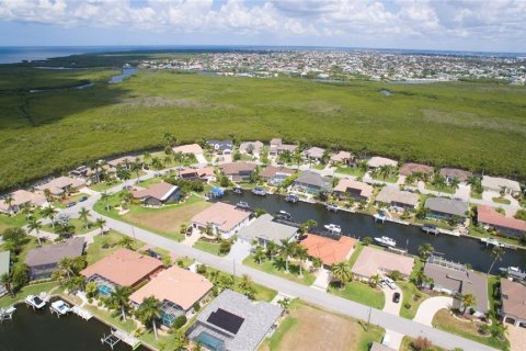 Land in Punta Gorda, Florida № 2093619 - photo 10