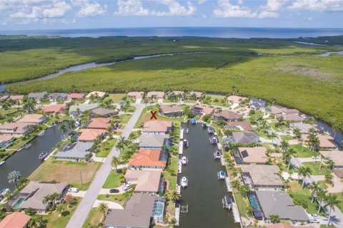 Terrain à vendre à Punta Gorda, Floride № 2093619 - photo 3