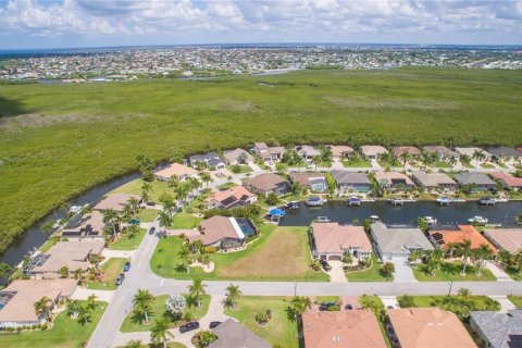 Land in Punta Gorda, Florida № 2093619 - photo 11