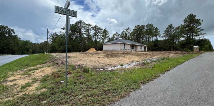 Villa ou maison à Dunnellon, Floride 3 chambres, 114.46 m2 № 1851219