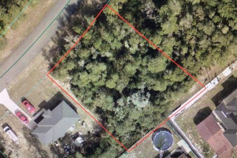 Land in Ocala, Florida № 2118578