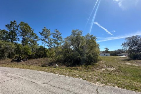 Land in Kissimmee, Florida № 1591032 - photo 2