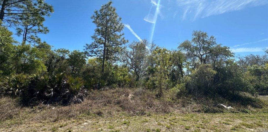 Land in Kissimmee, Florida № 1591032