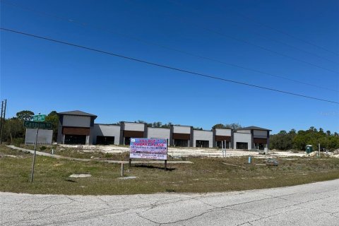 Land in Kissimmee, Florida № 1591032 - photo 6