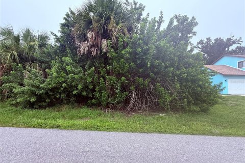 Land in Port Charlotte, Florida № 2403426