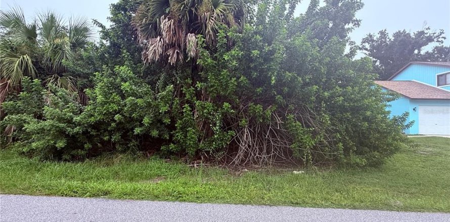Land in Port Charlotte, Florida № 2403426