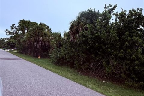 Land in Port Charlotte, Florida № 2403426 - photo 2