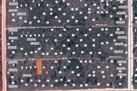 Land in Interlachen, Florida № 2161868 - photo 2