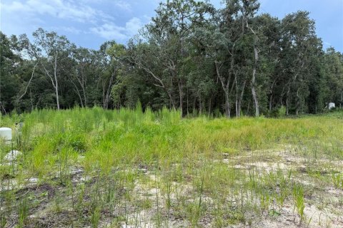 Land in Interlachen, Florida № 1893620 - photo 3