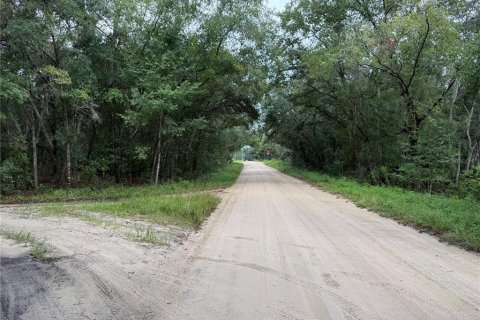 Land in Interlachen, Florida № 1893620 - photo 17