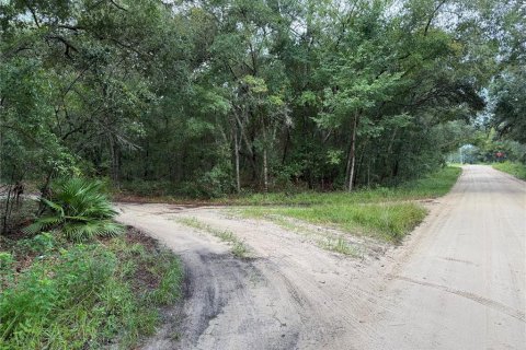 Land in Interlachen, Florida № 1893620 - photo 18