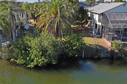 Land in Hernando Beach, Florida № 1535376 - photo 20