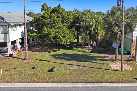 Land in Hernando Beach, Florida № 1535376 - photo 3