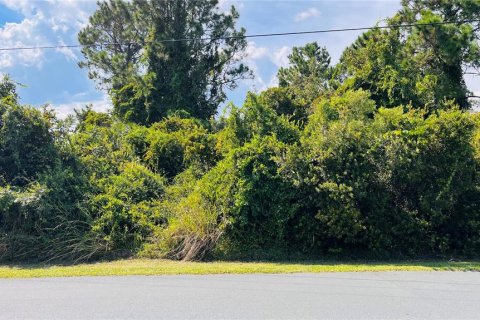 Land in Palm Coast, Florida № 2393789 - photo 2