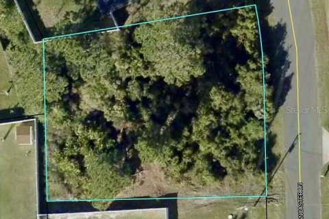 Land in Palm Coast, Florida № 2393789