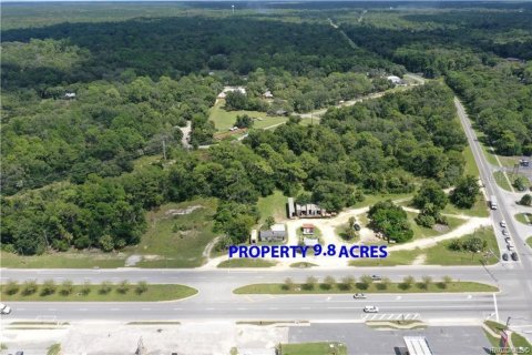 Land in Inglis, Florida № 2203657 - photo 3