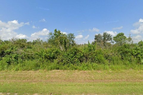 Land in Punta Gorda, Florida № 1913104 - photo 1
