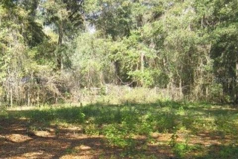 Land in Ocala, Florida № 2161645 - photo 4