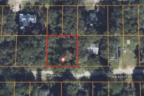 Land in Ocala, Florida № 2161645 - photo 2