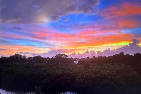 Copropriété à louer à Palm Harbor, Floride: 2 chambres, 83.43 m2 № 2397015 - photo 15
