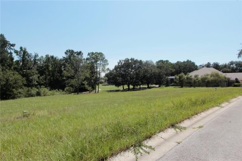 Land in Howey-in-the-Hills, Florida № 1915084 - photo 2