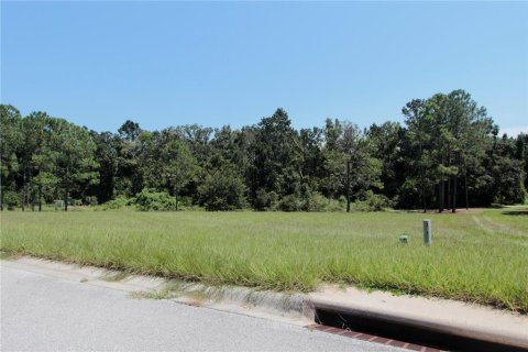 Land in Howey-in-the-Hills, Florida № 1915084 - photo 3