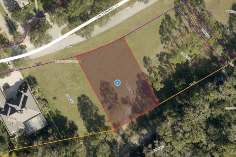 Land in Howey-in-the-Hills, Florida № 1915084 - photo 6