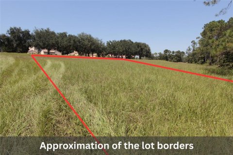 Land in Howey-in-the-Hills, Florida № 1915084 - photo 4