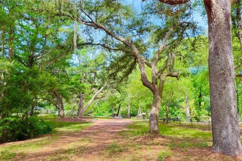 Land in Middleburg, Florida № 2226518
