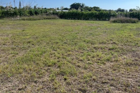 Land in Florida City, Florida № 2077254 - photo 2