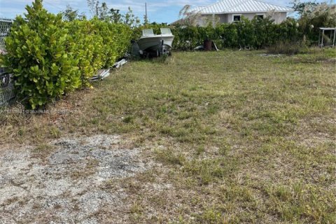 Land in Florida City, Florida № 2077254 - photo 5