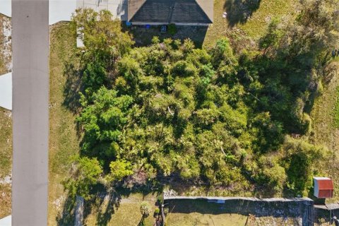 Terreno en venta en Deltona, Florida № 1579036 - foto 2